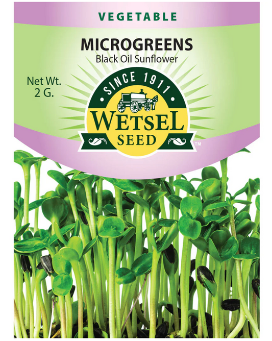 Wetsel Seed Microgreens, "Black Oil Sunflower" 2g