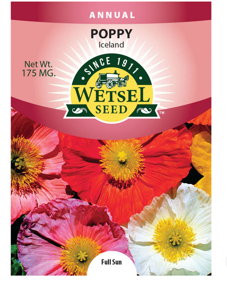 Wetsel Seed Annual, "Iceland Poppies" 175mg