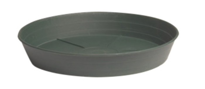 Go Pro Premium Saucer Black 8"
