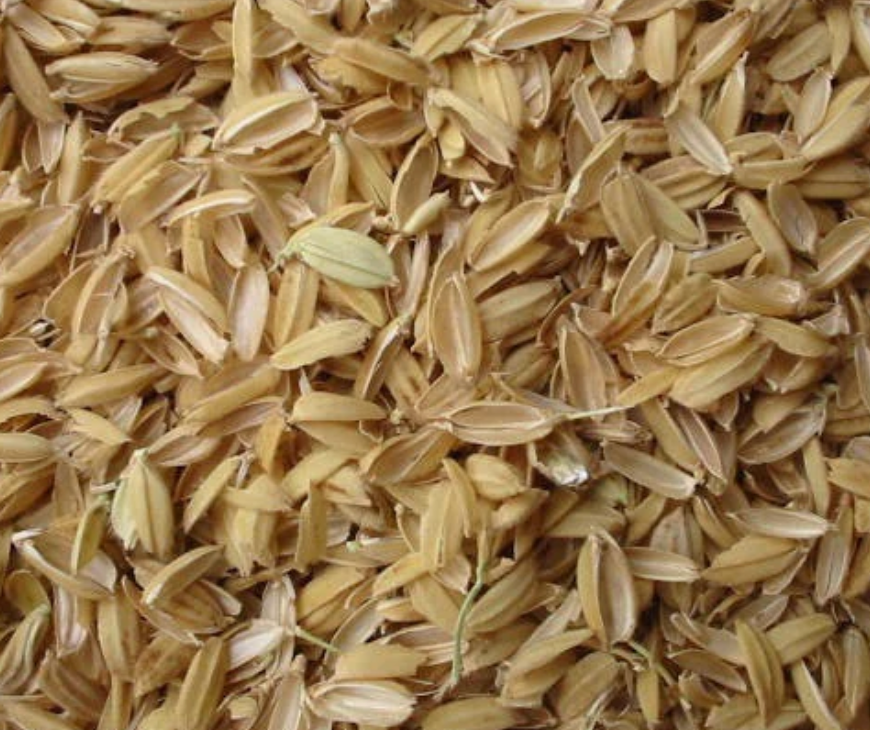 BuildASoil 2lb Rice Hulls