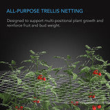 AC Infinity Polyester Plant Trellis Netting, 5'x15' 6"x6" Holes AC-TNA15