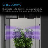 AC Infinity IONBEAM U2, Targeted Spectrum UV LED Grow Light Bars, 2-Bar Kit, 11-Inch - AC-NEU11-2