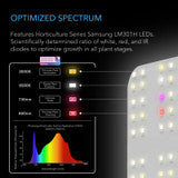 AC Infinity IONBOARD S22, Full Spectrum LED Grow Light 115W, Samsung LM301H, 2x2 Ft. Coverage - AC-IBS22