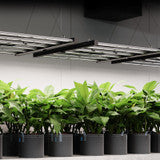 AC Infinity IONFRAME EVO8, Samsung LM301H EVO Commercial LED Grow Light, 730W, 5x5 ft. - AC-IF8K