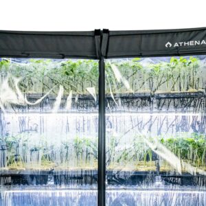 Athena VP Dome