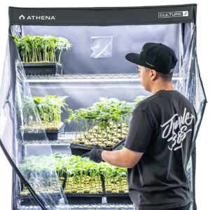 Athena VP Dome
