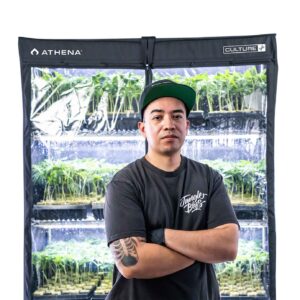 Athena VP Dome