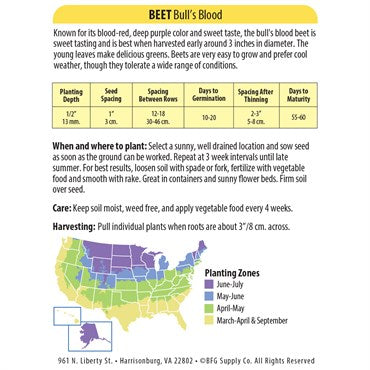 Wetsel Seed Vegetable, "Bull's Blood Beet" 2g