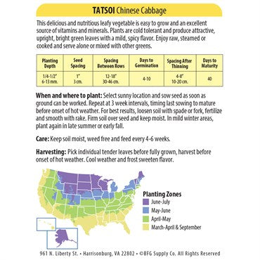 Wetsel Seed Vegetable, "Tatsoi Chinese Cabbage" 4g