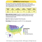 Wetsel Seed Vegetable, "Black Seeded Simpson Lettuce" 3g