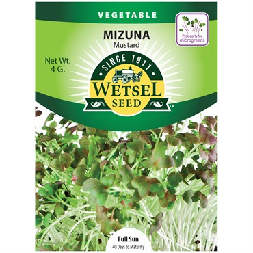 Wetsel Seed Vegetable, "Mustard Mizuna" 4g