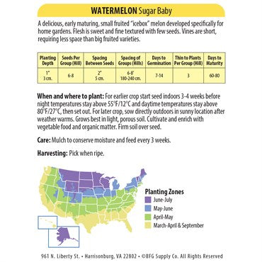 Wetsel Seed Vegetable, "Sugar Baby Watermelon" 3.5g