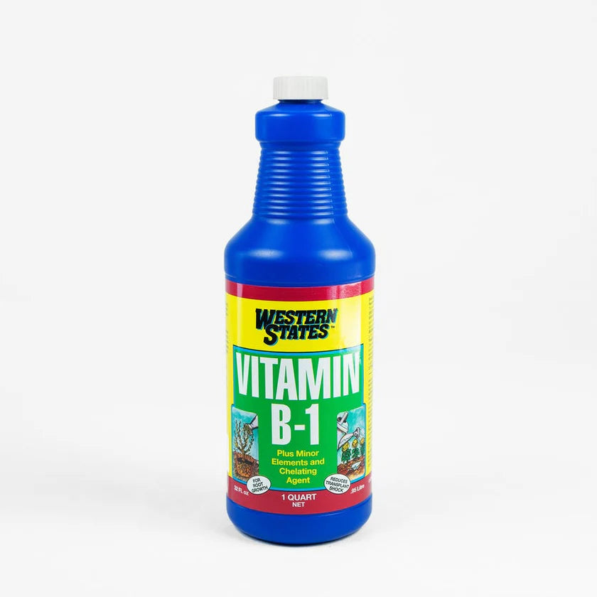 Liquinox Vitamin B1 1qt