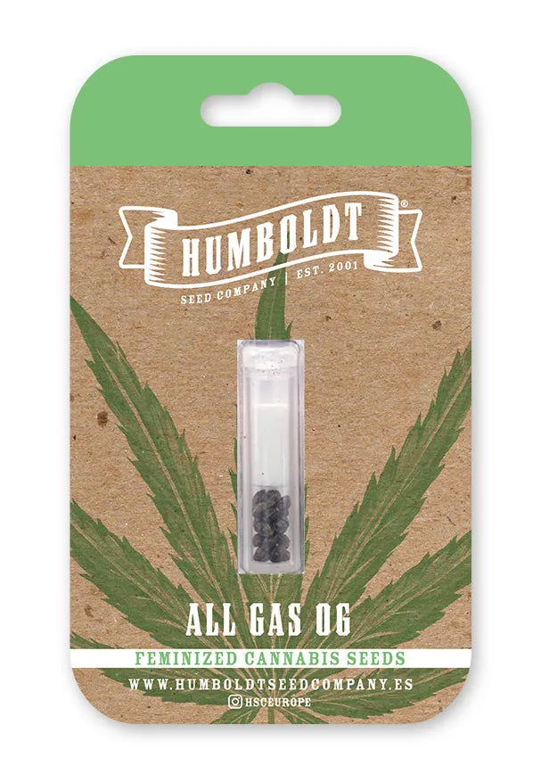 Humboldt Seed Company "All Gas OG" 3pk Feminized