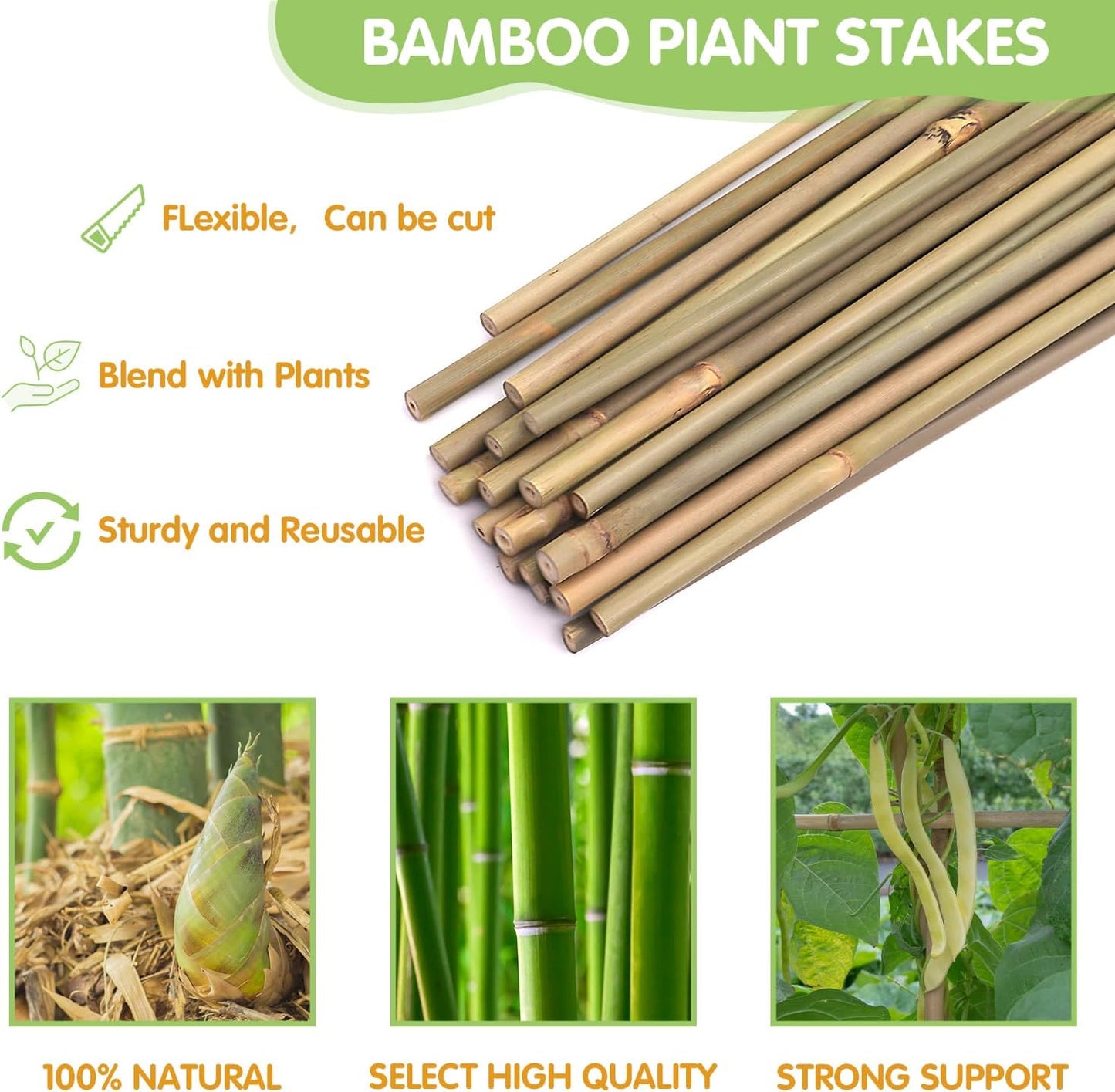 Grow It 3' 25ct Bamboo Stakes