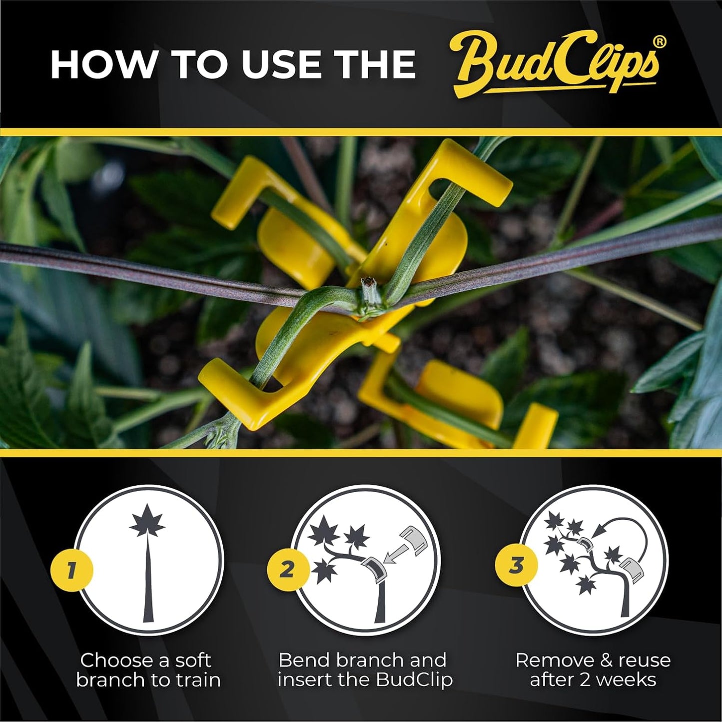Budtrainer LST Clips 20pk