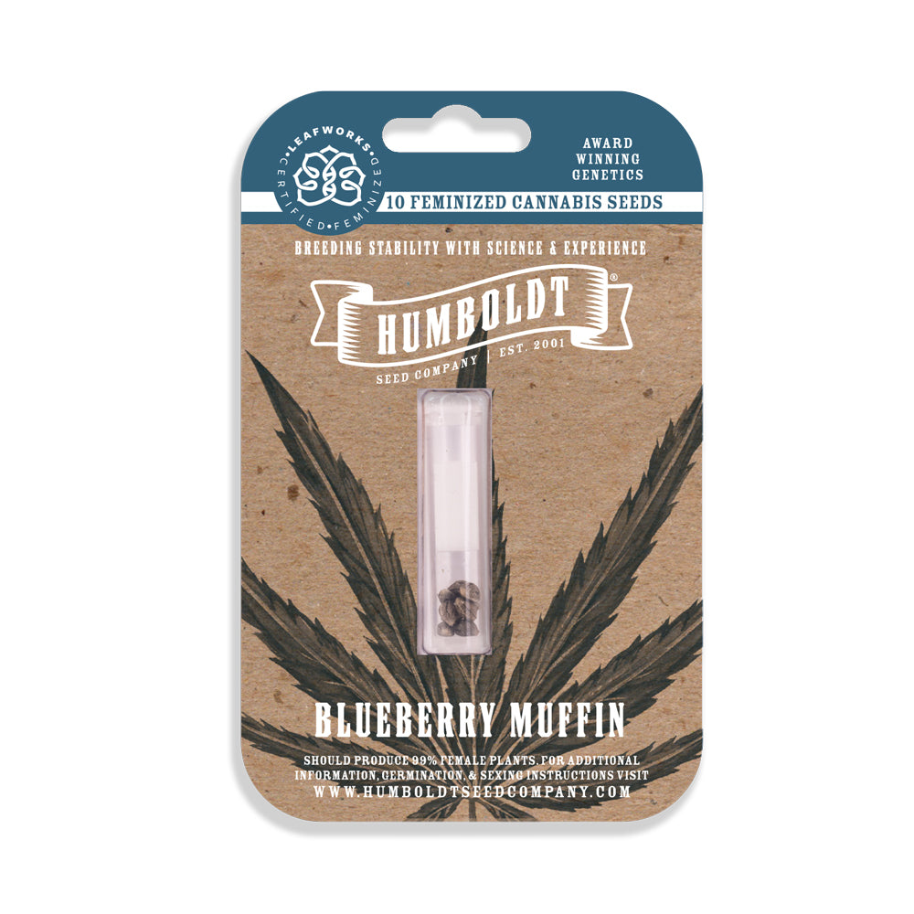 Humboldt Seed Company "Blueberry Muffin" 3pk Feminized Seeds