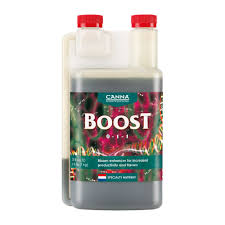 CANNA Boost - 1 L