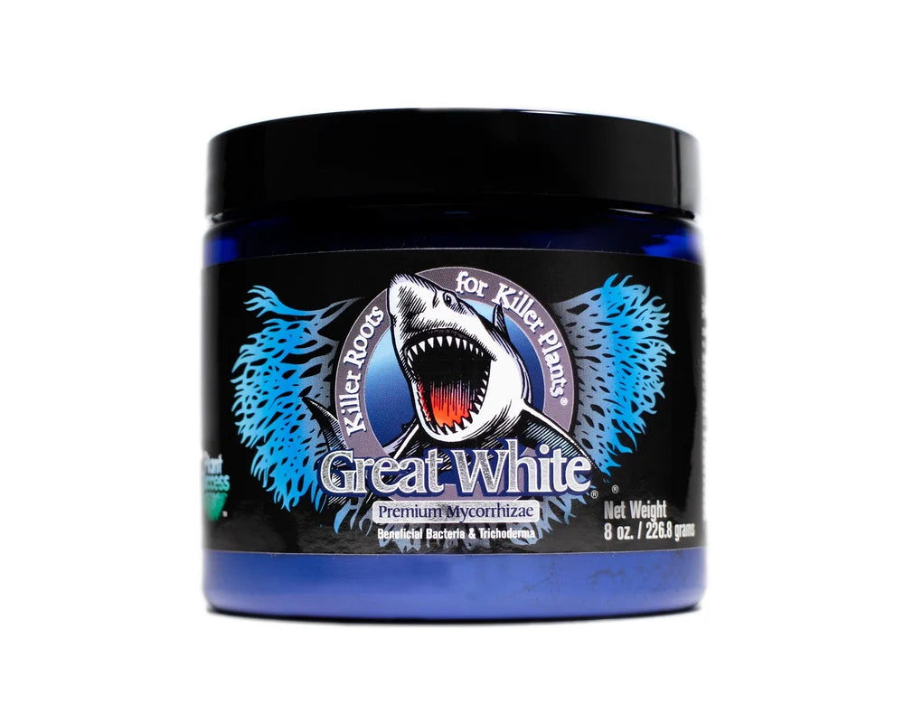 Great White 8oz