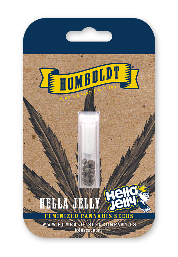 Humboldt Seed Company "Hella Jelly" 3pk Feminized