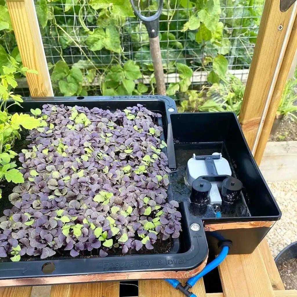 AutoPot Tray2Grow System Microgreens Setup x2 Tray