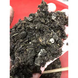 BuildASoil Light Recipe Soil 1cft
