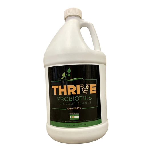 BuildASoil Thrive Probiotics Yah-Whey 1gal