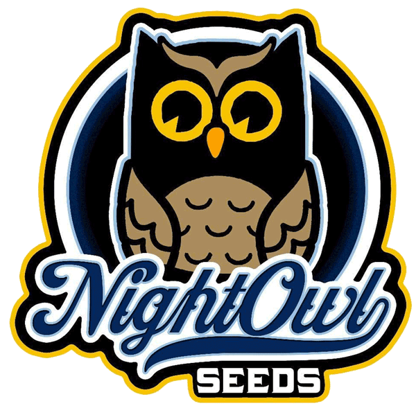 Night Owl Seeds "Strawberry Milk and Qookies" 3pk Autoflower Seeds