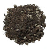 BuildASoil Perma Soil - Perennial Recipe for Houseplants and Tropicals 8qt Bag
