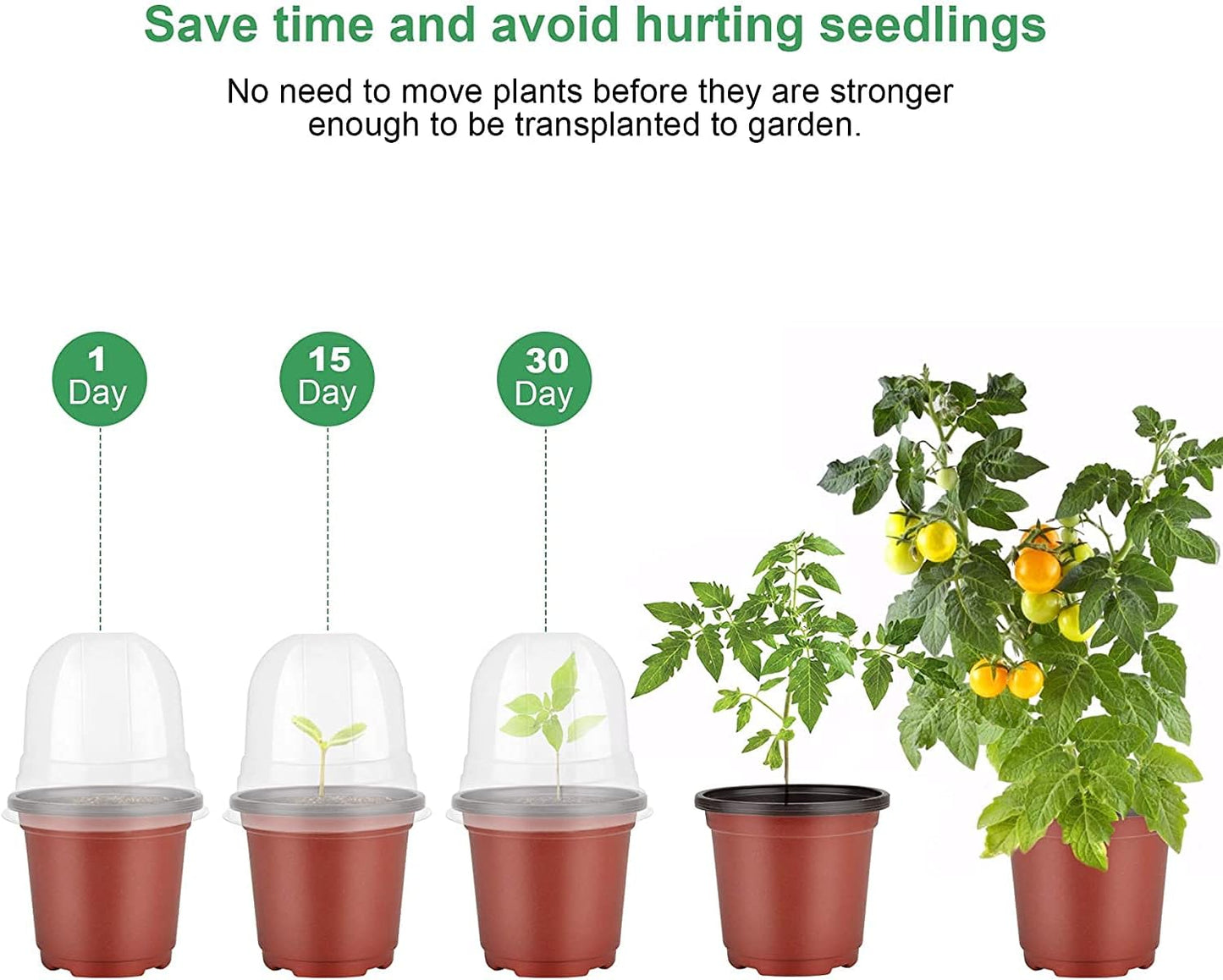 Single Plant Pot with Humidity Dome 4in