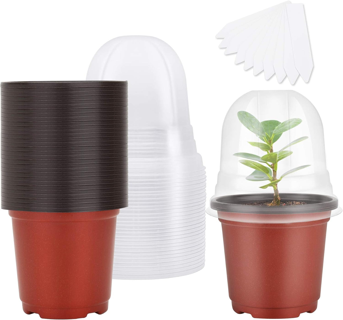 Single Plant Pot with Humidity Dome 4in