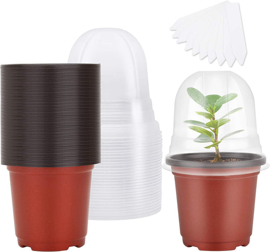 Single Plant Pot with Humidity Dome 4in