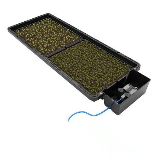 AutoPot Tray2Grow System Microgreens Setup x2 Tray