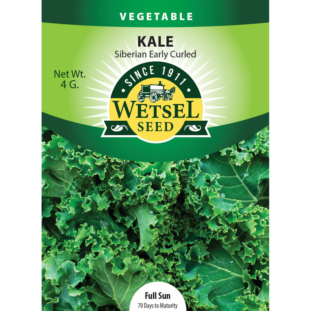 Wetsel Seed Vegetable, "Early Siberian Kale" 4g