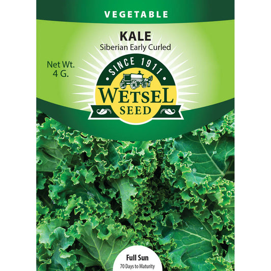 Wetsel Seed Vegetable, "Early Siberian Kale" 4g