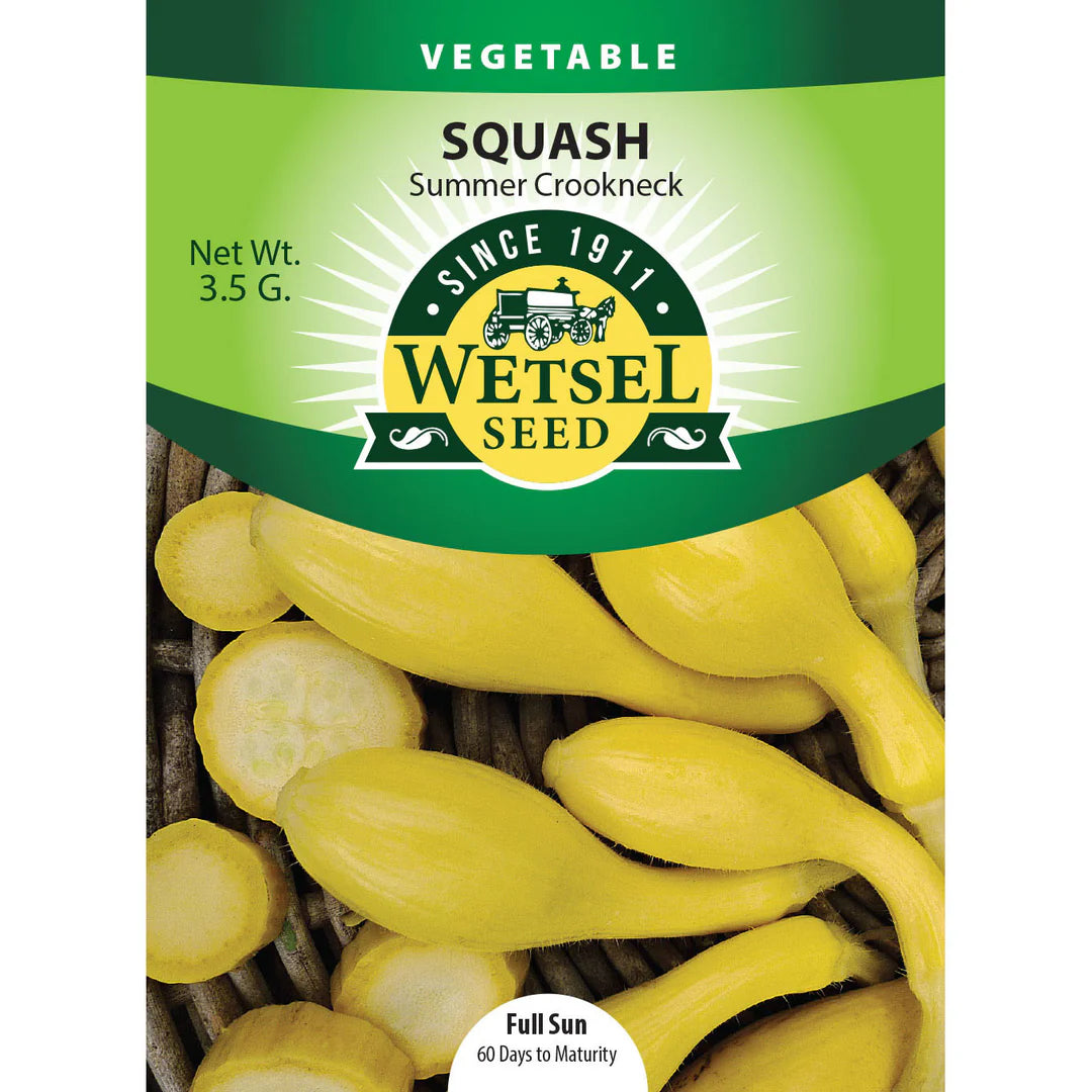 Wetsel Seed Vegetable, "Crookneck Squash" 3.5g