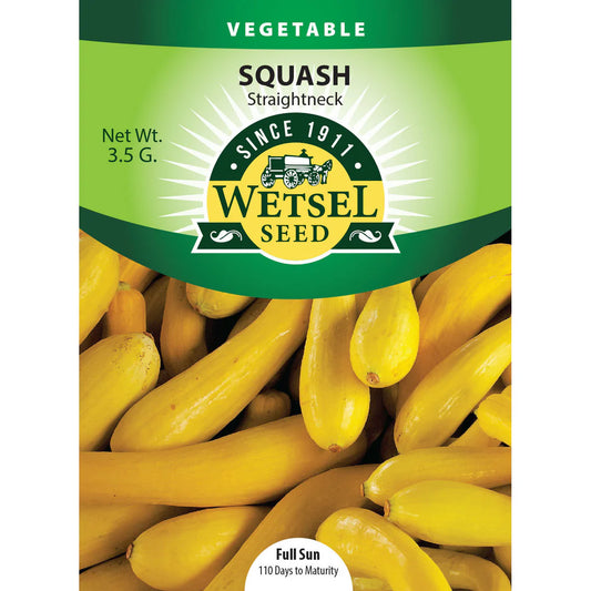 Wetsel Seed Vegetable, "Straightneck Squash" 3.5g