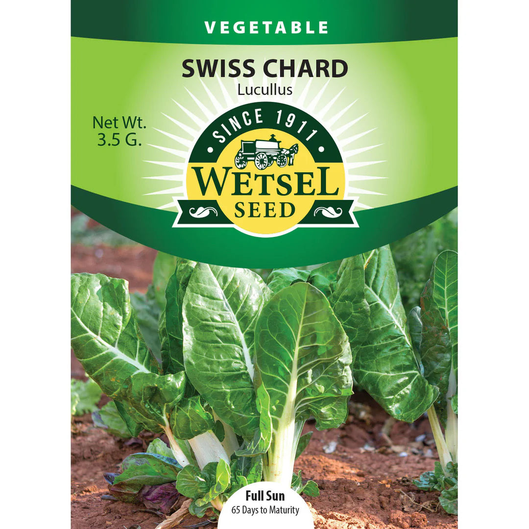 Wetsel Seed Vegetable, "Lucullus Swiss Chard" 3.5g