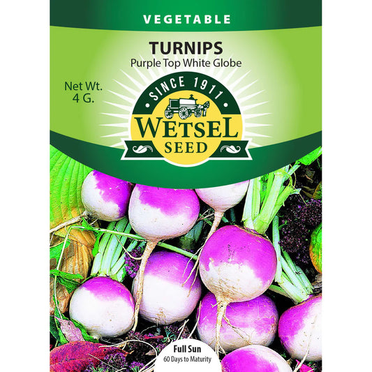 Wetsel Seed Vegetable, "Purple Top Turnip" 4g