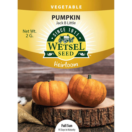 Wetsel Seed Vegetable, "Jack Be Little Pumpkin" 2g